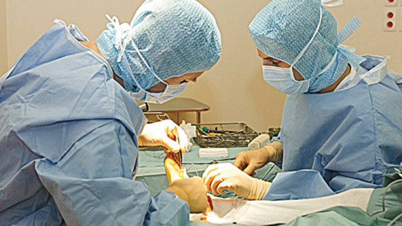 تقنين استغلال جثث الجزائريين كفئران تجارب!