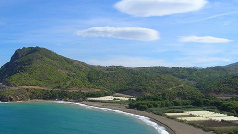 سيَدة أعمال تستولي على مخيم صيفي وتقطع أشجار نادرة بوهران