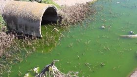 الاشتباه في إصابة 75 شخصا بالتيفوئيد في سطيف