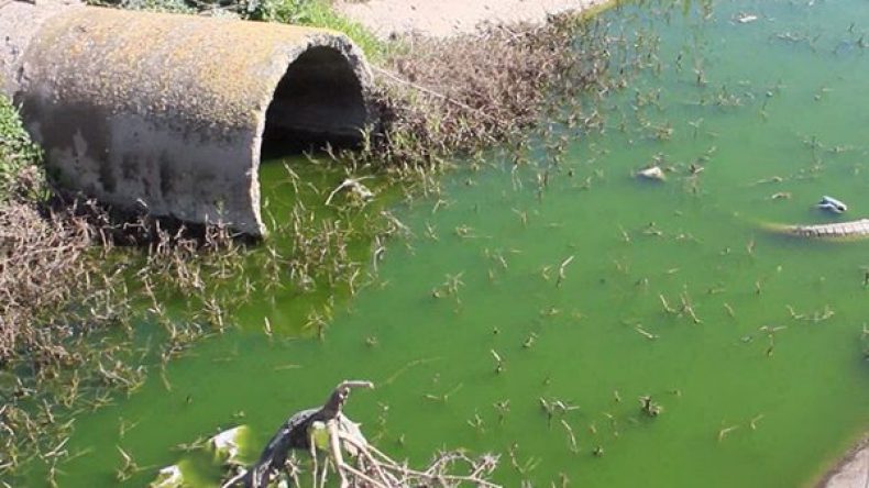 الاشتباه في إصابة 75 شخصا بالتيفوئيد في سطيف