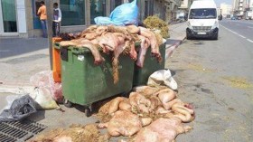 مخلّفات الذبح والسلخ تهدّد الأحياء السكنية في وهران بالفيضانات