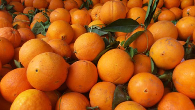 مستوردون يغرقون الأسواق ببرتقال فاسد!