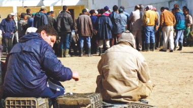 L’Algérie n’importera pas de blé dur et d’orge en 2012