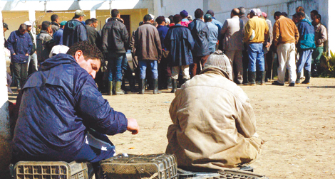 L’Algérie n’importera pas de blé dur et d’orge en 2012