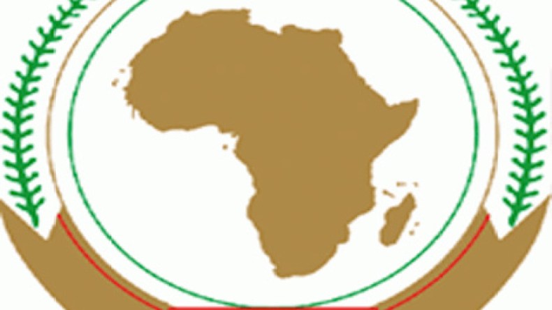 الجزائر تلغي ديونا مستحقة على 14 دولة إفريقية