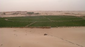 فلاحون يطالبون بدعم نشاطهم بقرية الخويلدات بحاسي مسعود