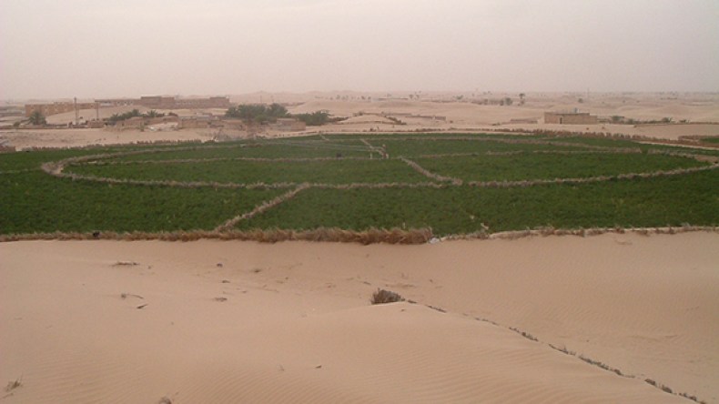 فلاحون يطالبون بدعم نشاطهم بقرية الخويلدات بحاسي مسعود