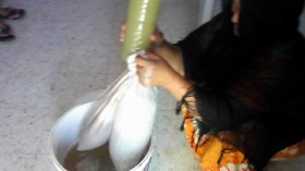 “الوزوازة” ينافس المشروبات العالمية والدراسات تثبت فوائده الصحية