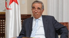 “اعتماد أحزاب سياسية جديدة سيتم قبل نهاية السنة”
