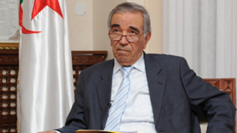 “اعتماد أحزاب سياسية جديدة سيتم قبل نهاية السنة”