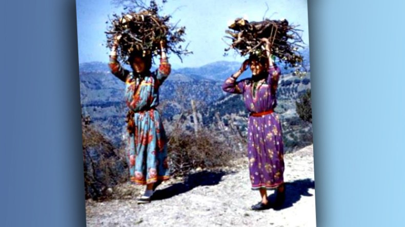 نساء قرى الأوراس يلجأن إلى الاحتطاب لمواجهة قسوة الشتاء