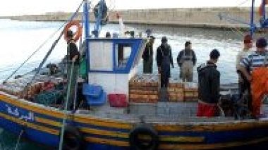 Pêche-environnement : vers le lancement de deux programmes de coopération Algérie-UE