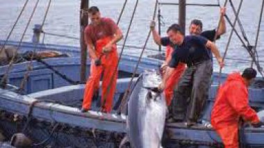 Khanafou : “” La police de la pêche opérationnelle début 2012 “”