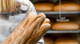 لا ندرة مرتقبة.. و7 آلاف خباز سيوفرون المادة