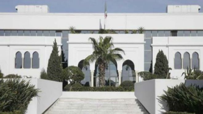 فلسطين ضيف.. و”زوم” حول سينما المرأة في الحروب والنزاعات