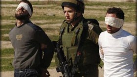 إسرائيل تعتقل 55 فلسطينيا بالضفة