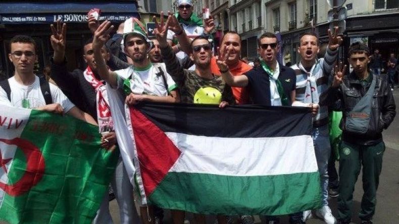 “الخضر” تضامنوا مع غزة في البرازيل.. والأنصار حملوا الراية الفلسطينية في كل مكان