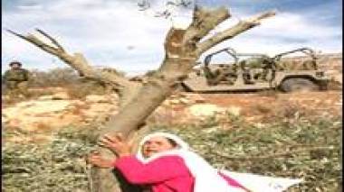 Les Palestiniens  défilent pour la “Journée de la terre”