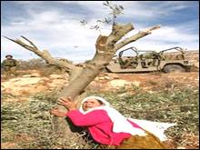 Les Palestiniens  défilent pour la “Journée de la terre”