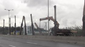 الموت بالقنطة والهفّ!