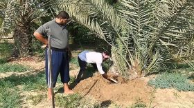 200  مليار للحزام الأخضر بورقلة في مهب الريح
