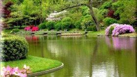 وتزيّنت الجنّة