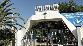 هلاك 536 حيوان بحديقة بن عكنون في ظروف غامضة