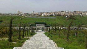 دنيا بارك .. وماذا بعد؟