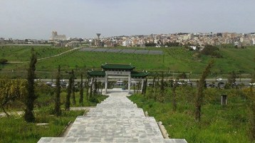 دنيا بارك .. وماذا بعد؟