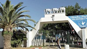 حبس المتورط في حرق حديقة بن عكنون