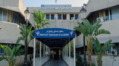 Institut Pasteur: Les fruits et légumes sont suspectés d’être contaminés