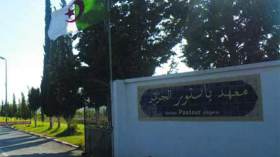 Grippe porcine: Alerte au CHU d’Hussein Dey