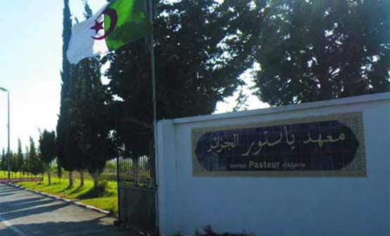 Grippe porcine: Alerte au CHU d’Hussein Dey