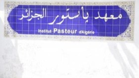 معهد باستور سيستورد 1700 قرنية خلال سنة 2015