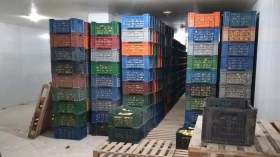 فتح مخازن البطاطا لمواجهة الندرة وضبط الأسعار