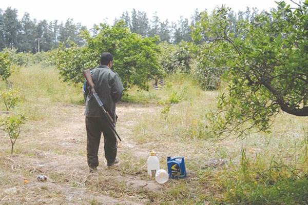 Algeria grants allowance to 21,000 terrorism countering volunteers