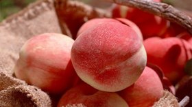 الخوخ.. الفاكهة التي تعالج 10 أمراض