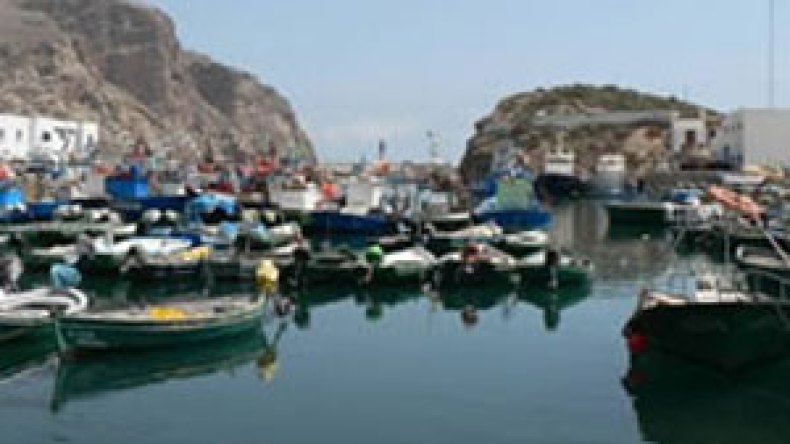 وزارة الصيد تقتني باخرة للبحث والتنقيب عن الثروة السمكية