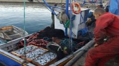 Le ministère de la Pêche envisage d’astreindre les professionnels à l’assurance risques