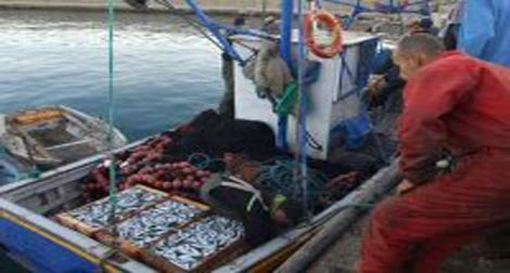 Le ministère de la Pêche envisage d’astreindre les professionnels à l’assurance risques