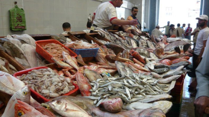 55 % من العرب يستهلكون 2.6 كلغ من الأسماك سنويا