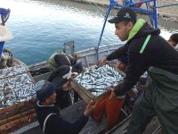 Pêche: abondance de la ressource pélagique à l’Est du pays