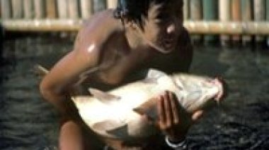 FAO-OIT : orientations pour la réduction du travail des enfants dans le secteur des pêches