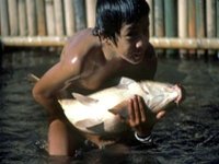 FAO-OIT : orientations pour la réduction du travail des enfants dans le secteur des pêches