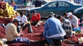 فروخي: توسع سوق الأسماك زاد في غلاء أسعارها