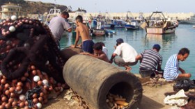 توسيع التحقيق في نشاط وزارة الصيد البحري بأثر رجعي إلى 3 سنوات