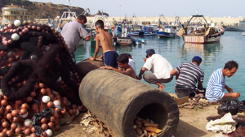 توسيع التحقيق في نشاط وزارة الصيد البحري بأثر رجعي إلى 3 سنوات