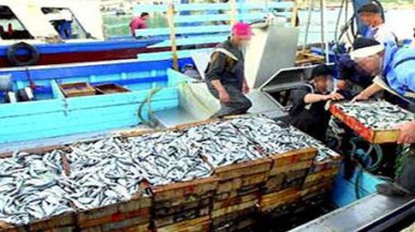 Ministre de la pêche: Indemnisation des pêcheurs qui ont respecté la période de repos biologique