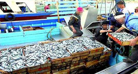 Ministre de la pêche: Indemnisation des pêcheurs qui ont respecté la période de repos biologique