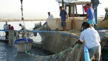 Une Journée nationale du pêcheur mardi à Dellys
